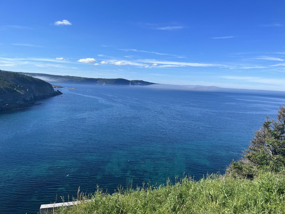 vpcdartz's tweet photo. @mynlcorner middle cove 💙 https://t.co/3pOIyAOChn