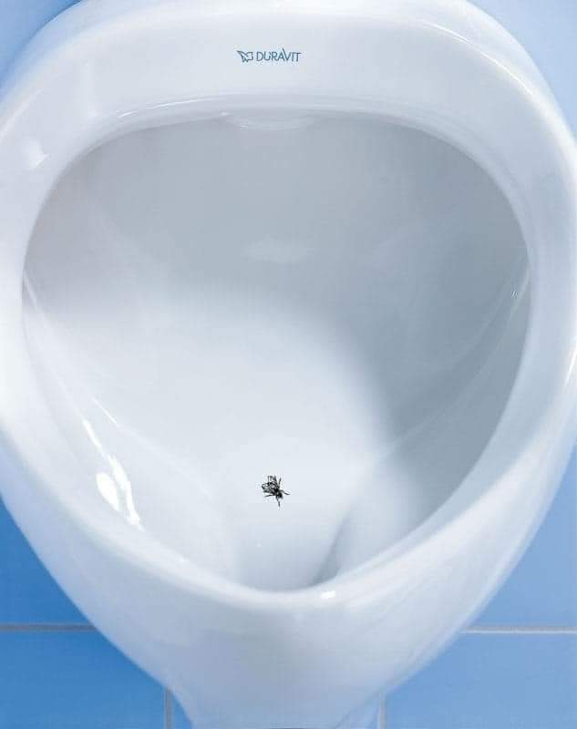 Solución ingeniosa 😅

Los baños de los hombres necesitan 5 veces más mantenimiento diario que el de las mujeres. Por ello, en el aeropuerto Schipol de Amsterdam, solucionaron el problema creativamente: en los urinales pintaron una mosquita justo al lado izquierdo del drenaje.