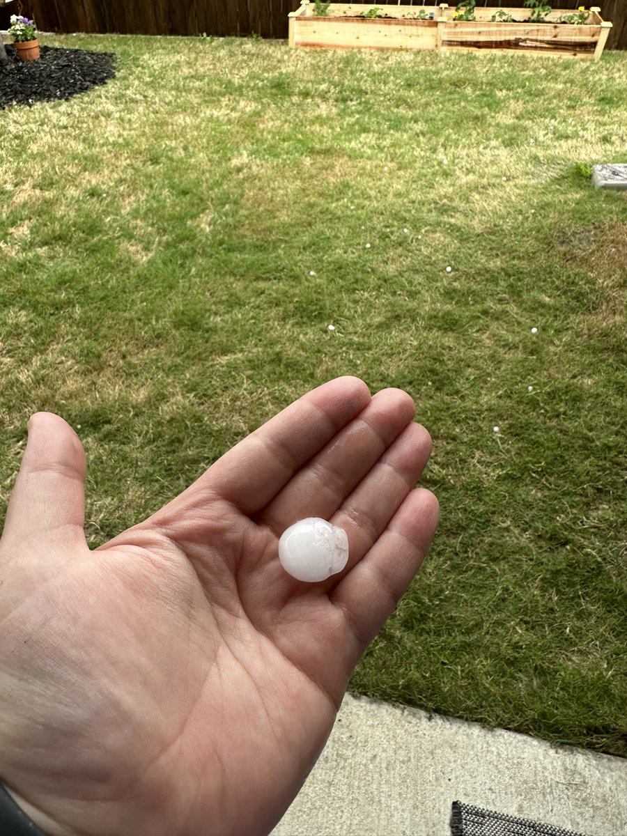 Alyssa_Ballard's tweet photo. @wfaaweather We’ve got quarter size hail in Garland, Pete! https://t.co/NTk8mvhZaQ