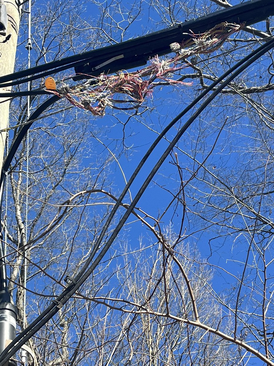 ShaneAlimac's tweet photo. @Bell please stop sending a service tech for this repair!
We need your construction crew here! https://t.co/McqSTHbp8h