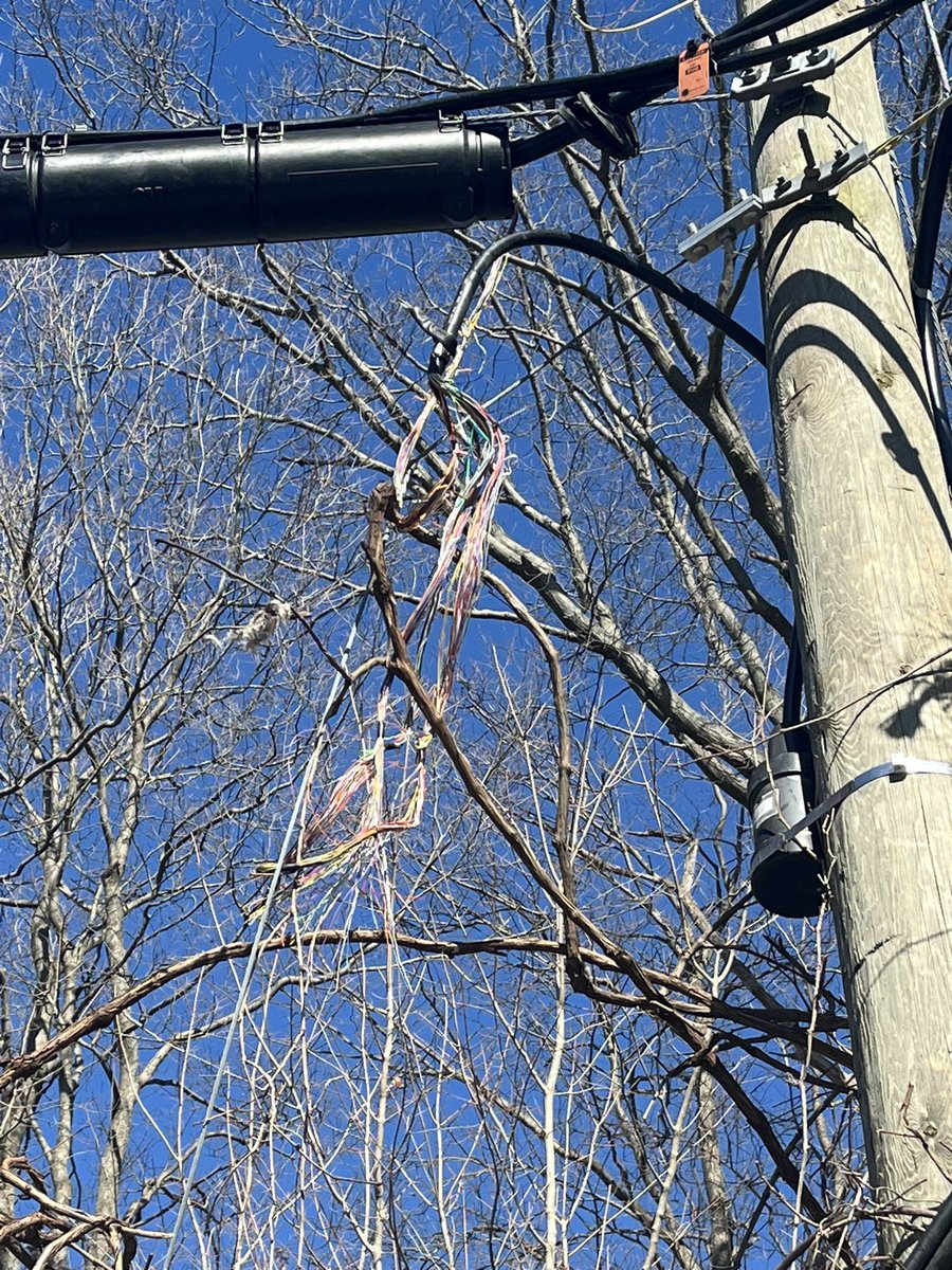ShaneAlimac's tweet photo. @Bell please stop sending a service tech for this repair!
We need your construction crew here! https://t.co/McqSTHbp8h