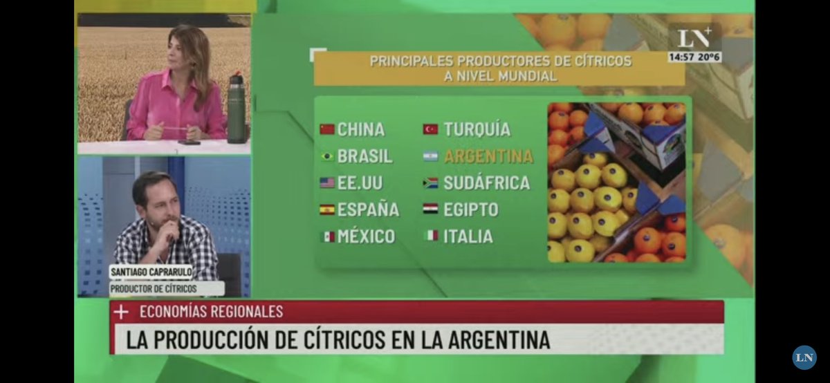 CECNEA_arg's tweet photo. El Dir. Ejecutivo de nuestra Cámara participó esta tarde en el programa +Campo conducido por @EleonoraCole para hablar de citricultura. Producción y exportación. Gracias por el espacio y la invitación. https://t.co/B9CIExuv1T