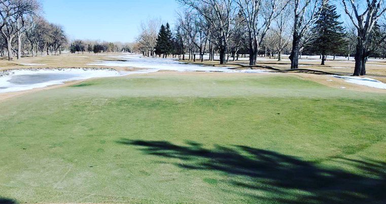 Who is ready for this? ⛳️🏌️‍♀️🏌️🏌️