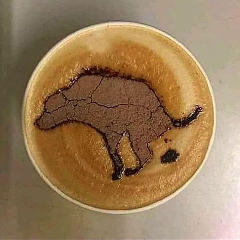 TMechanisms's tweet photo. @ministerr Is this coin or tea? https://t.co/tw9Y0ShngE