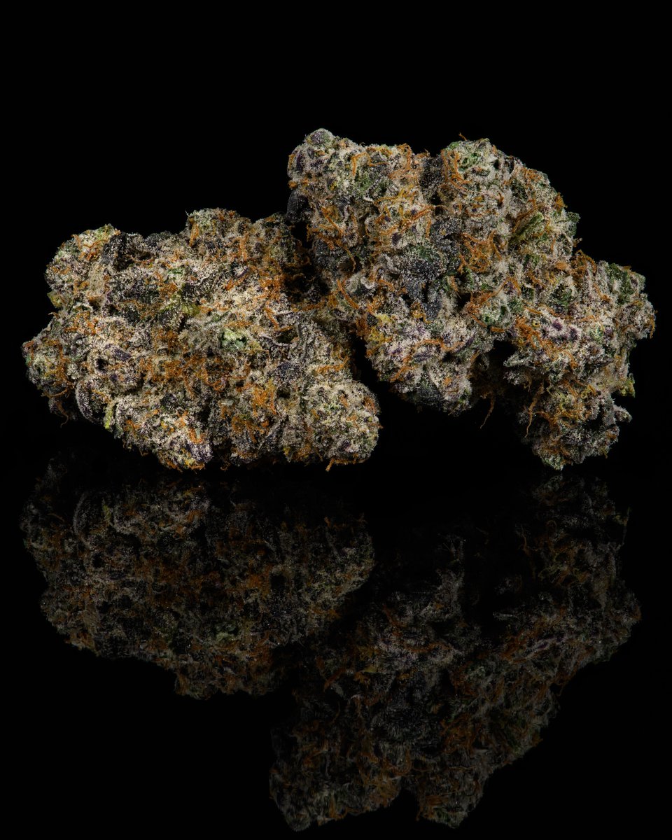 Cookies 🍪 on Twitter "R&D microbatch for the CA phenohunt { Wedding