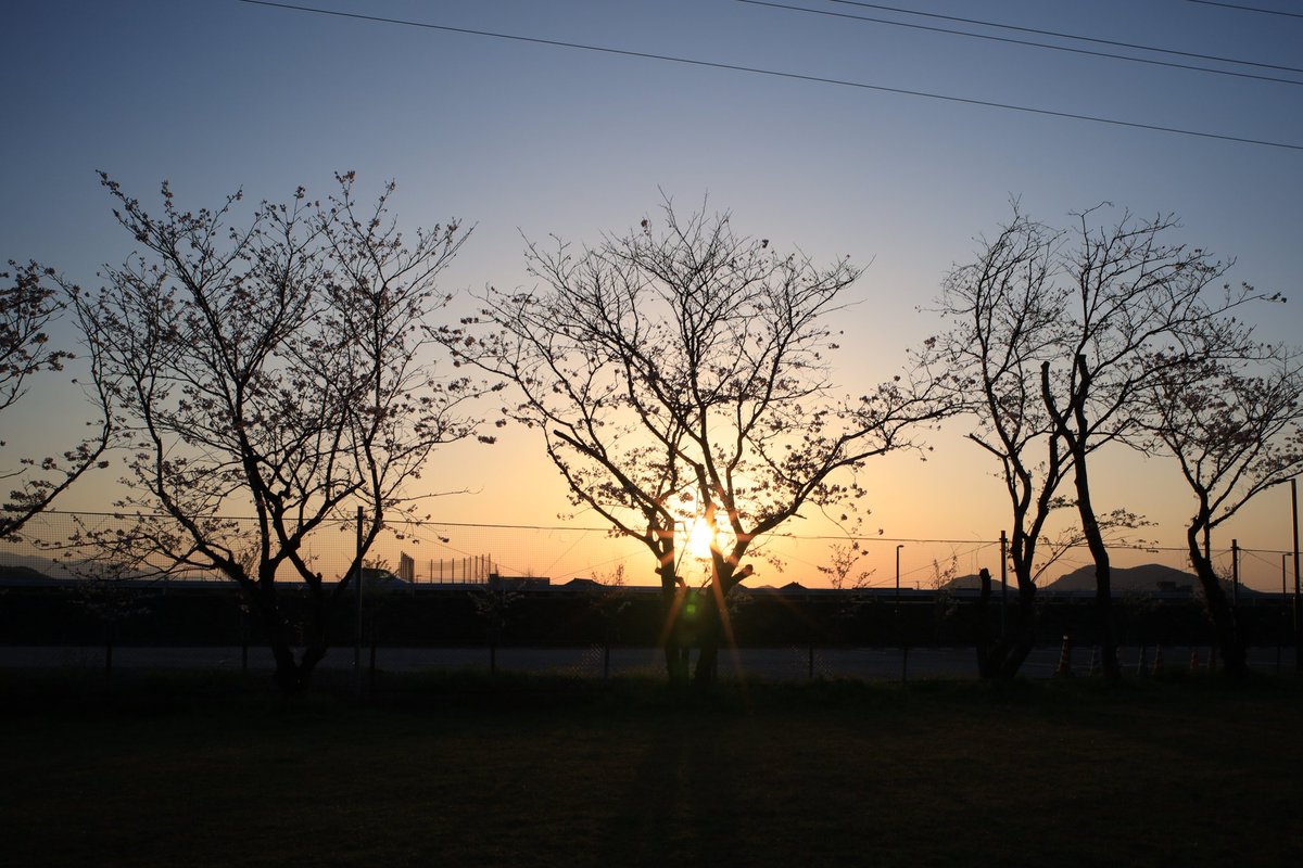 tukizora_ke_'s tweet photo. ☀ 230403 朝空

太陽 おはよう♪

皆さん今日も
元気に行ってらっしゃい👋 https://t.co/gDyV9cot4x