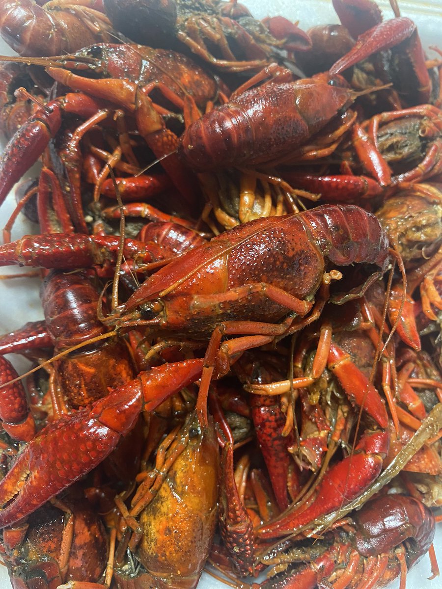 Hey y’all!!💜
K Bye🤤😂#HereAndGoneGoneAndHere 😂 #WhatsToTSuckinTheBrainOutOfNow 

😂😂 ☝🏼😳 #WaitWhat 😒