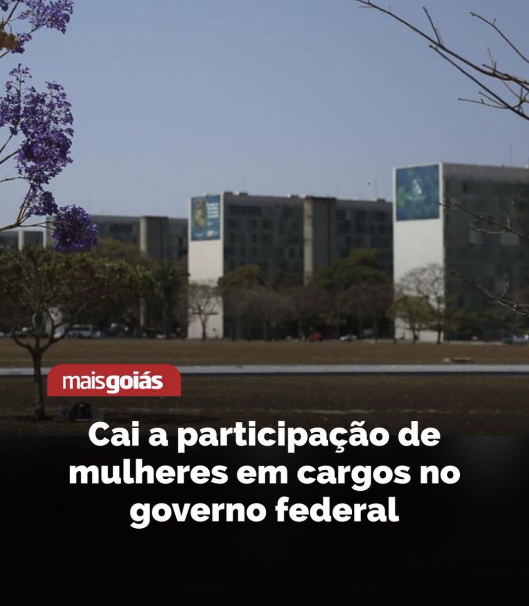 brom_elisa's tweet image. Governo Machista…🤫