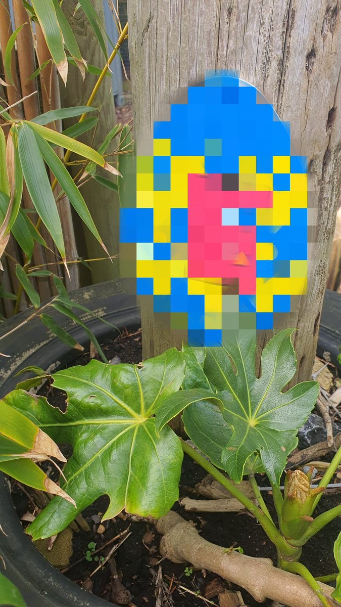 👉 Make sure you take part in our egg hunt this Easter Holidays! 🐣

Note down the letters hidden on eggs around the zoo and work out which of our species it spells! 🤔

Pop your name and contact details onto a form at the entrance to enter our prize competition!