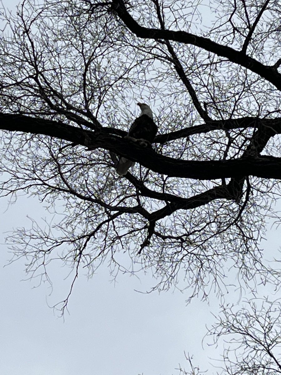 Eric “woke mob” Braun tweet media