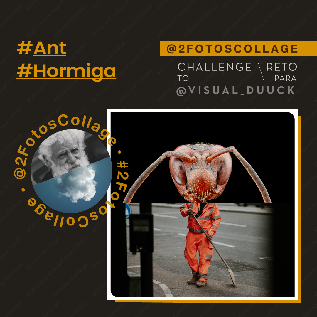 NestorCanoWorld's tweet photo. #WorkerANT ANT to the #promt9 from @VisualDuuck
#2FotosCollage to @duuck.games
#duuckweekendcollage #ANT #HORMIGA https://t.co/bck4zSx8jy