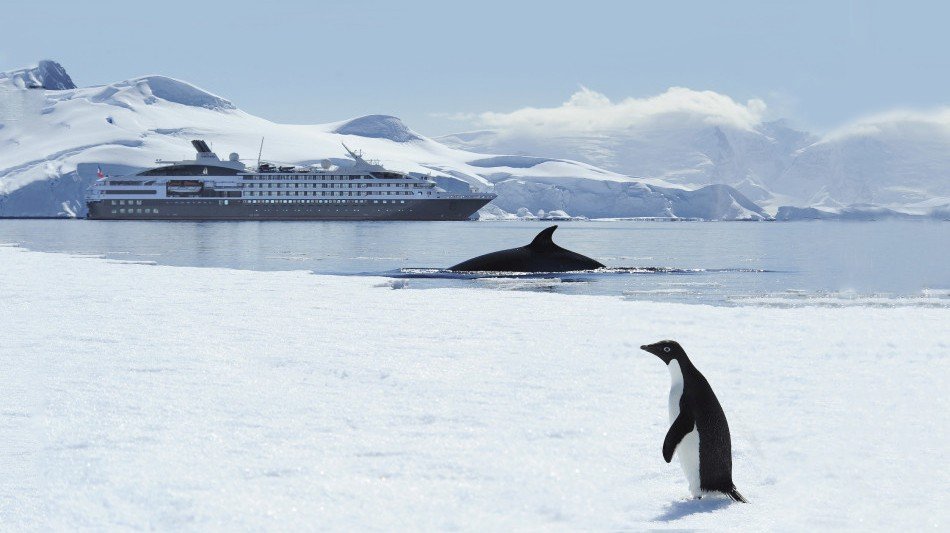 Some of the cutest locals come out to wave the Ponant Cruise along its journey! #sharingalaska