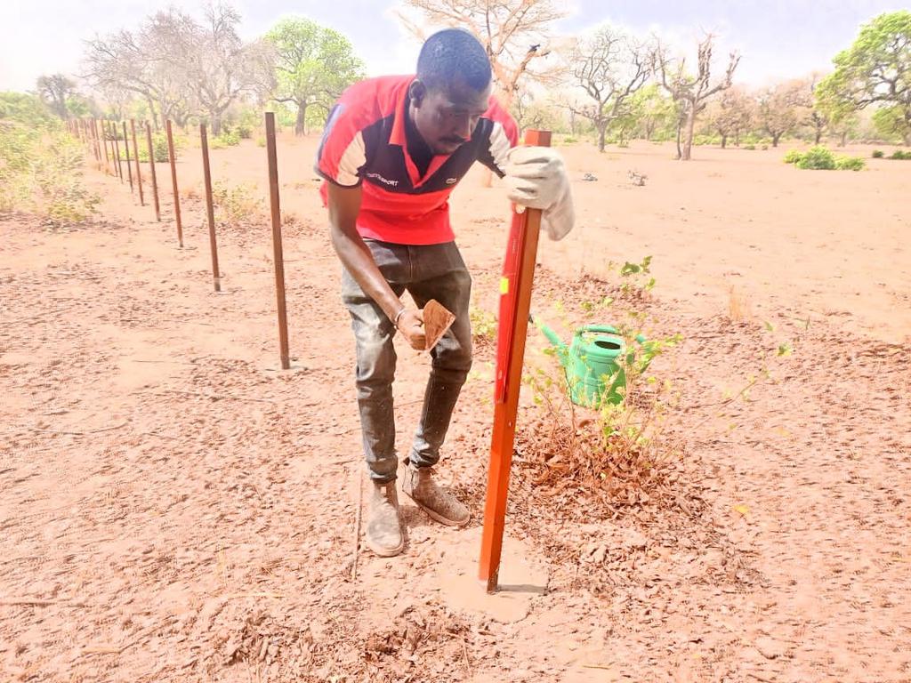 MoussaSanfo18's tweet photo. Installation d'un nouveau site dans la commune de Yako  pour promouvoir la pratique agroécologique, la vulgarisation des semences améliorer la production de l'oignon hivernale et les bio intrants 
#APEDR
#SOLIDAGRO
#agroecologie
#biointrants https://t.co/6Z3cUcPNGN