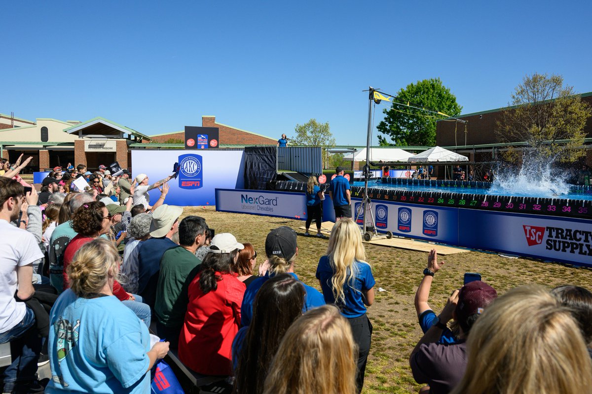 NCStateVetMed's tweet photo. DIVING AND THRIVING. It was a perfect North Carolina day for #NCStateVetMed to host the @akcdoglovers Diving Dogs Premier Cup event. Catch the results and glimpses of our incredible campus next Sunday, April 9, at 1:30 p.m. on @ESPN 2. #vetschool #dogsrock #divingdogs https://t.co/mA5L5lJdpQ
