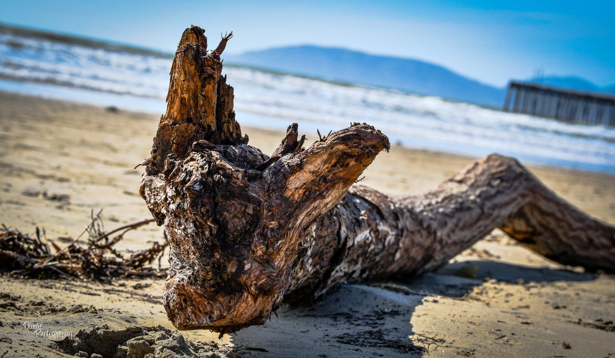 DanaePhotography (@danaephotog) on Twitter photo 