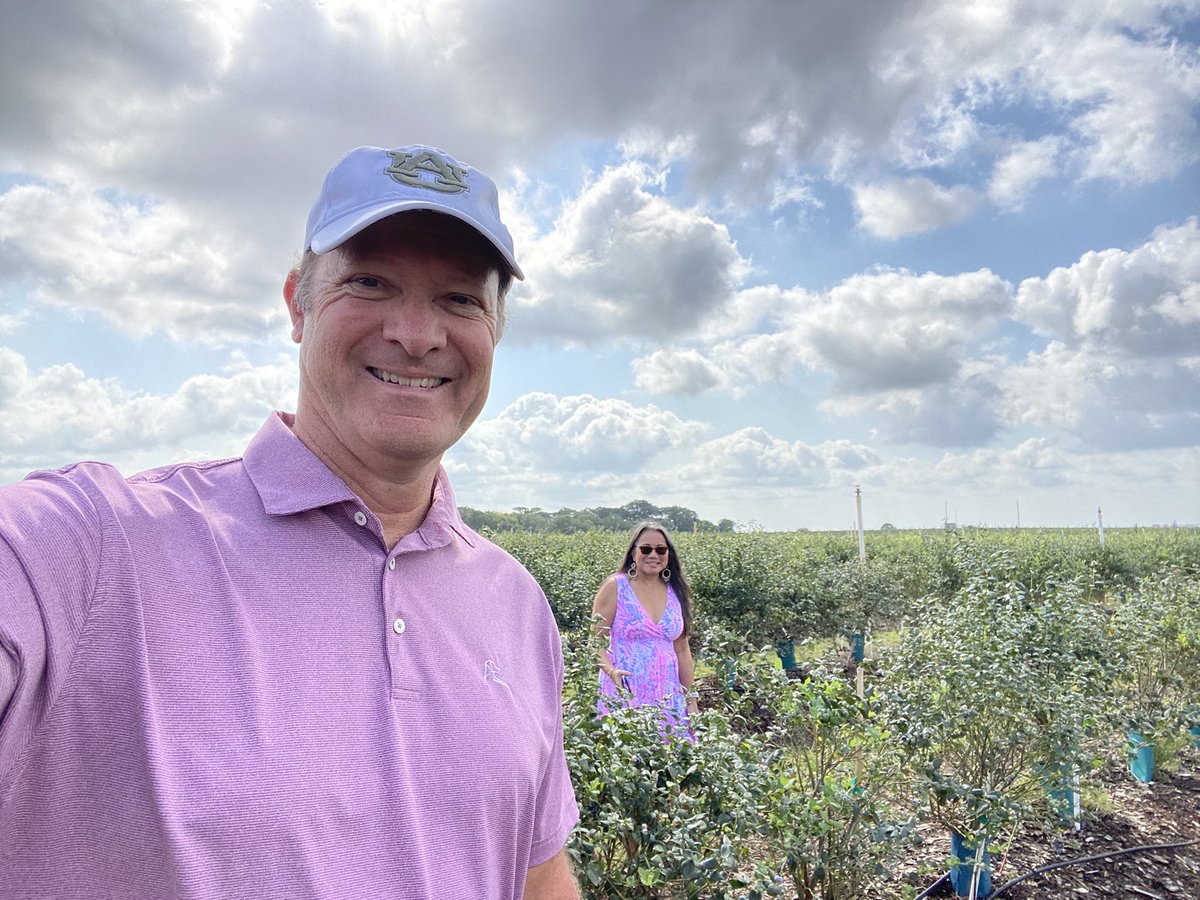 Orlando_AUTiger's tweet photo. Happy Sunday! Great time blueberry 🫐 picking with @miacpa27 ❤️🫐
#rhoback #southernhillfarm #orlando #createactivity #blueberry #picking #florida #auburntigers #auburn #apparel #comfort https://t.co/9a5Tcx0FIU