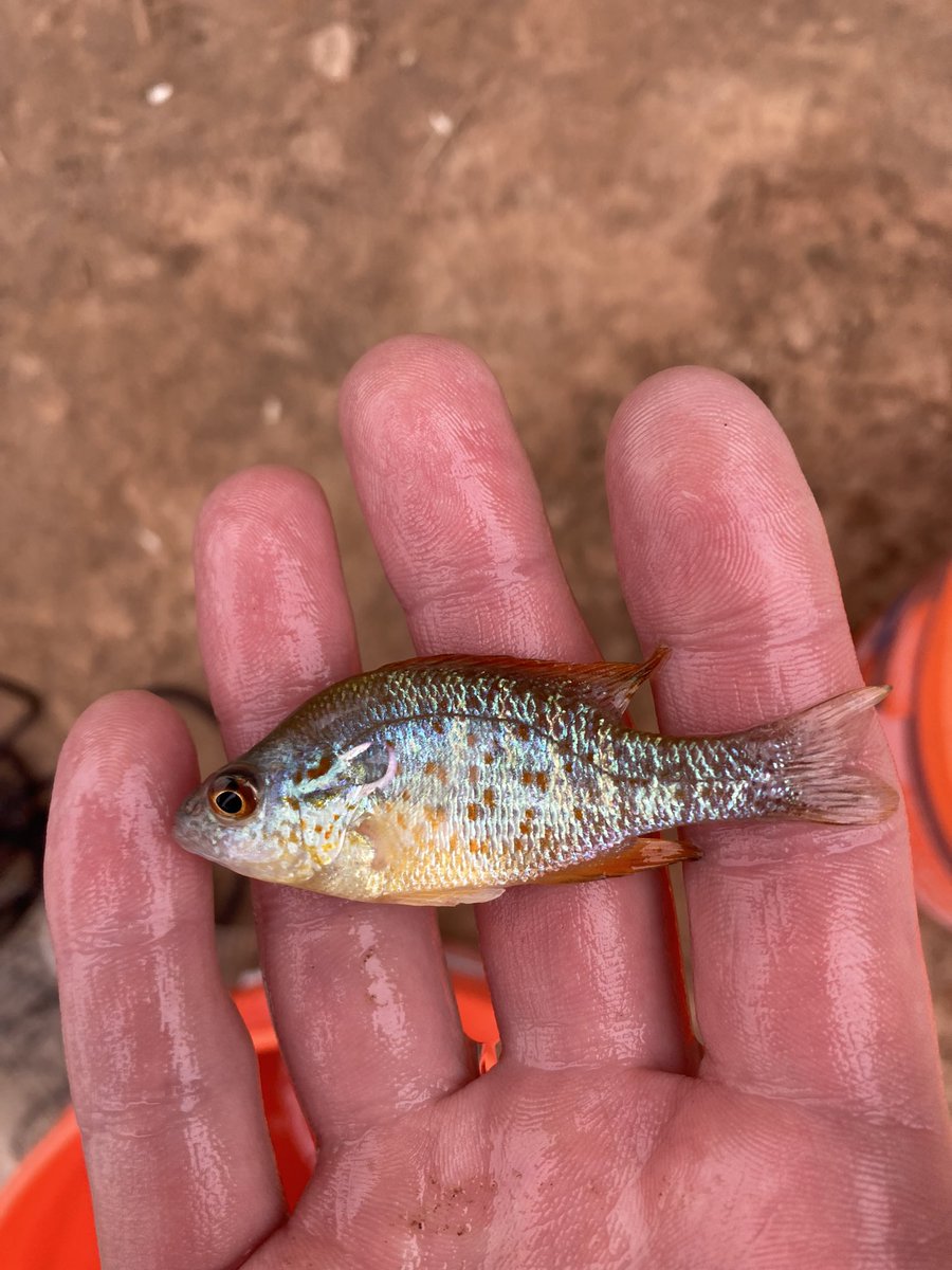 Matt Troia tweet media