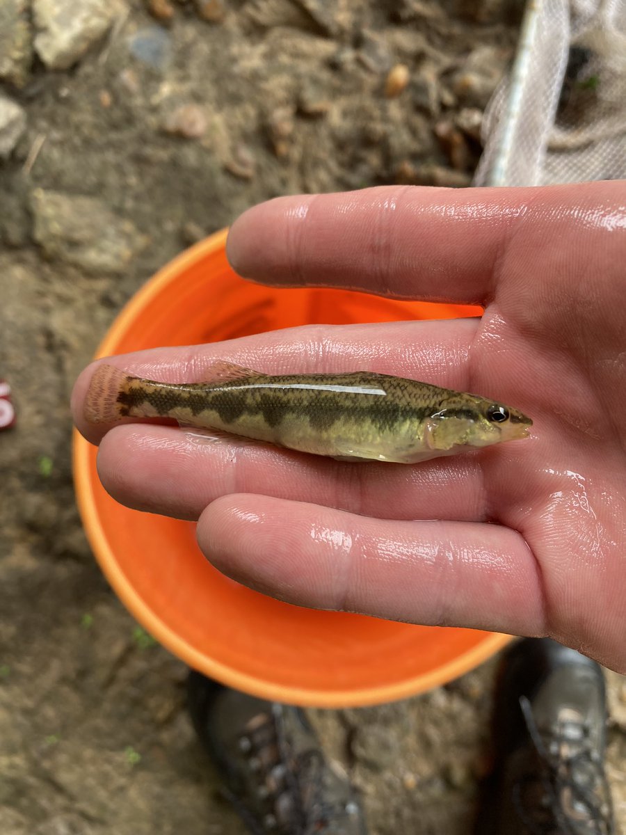 Matt Troia tweet media