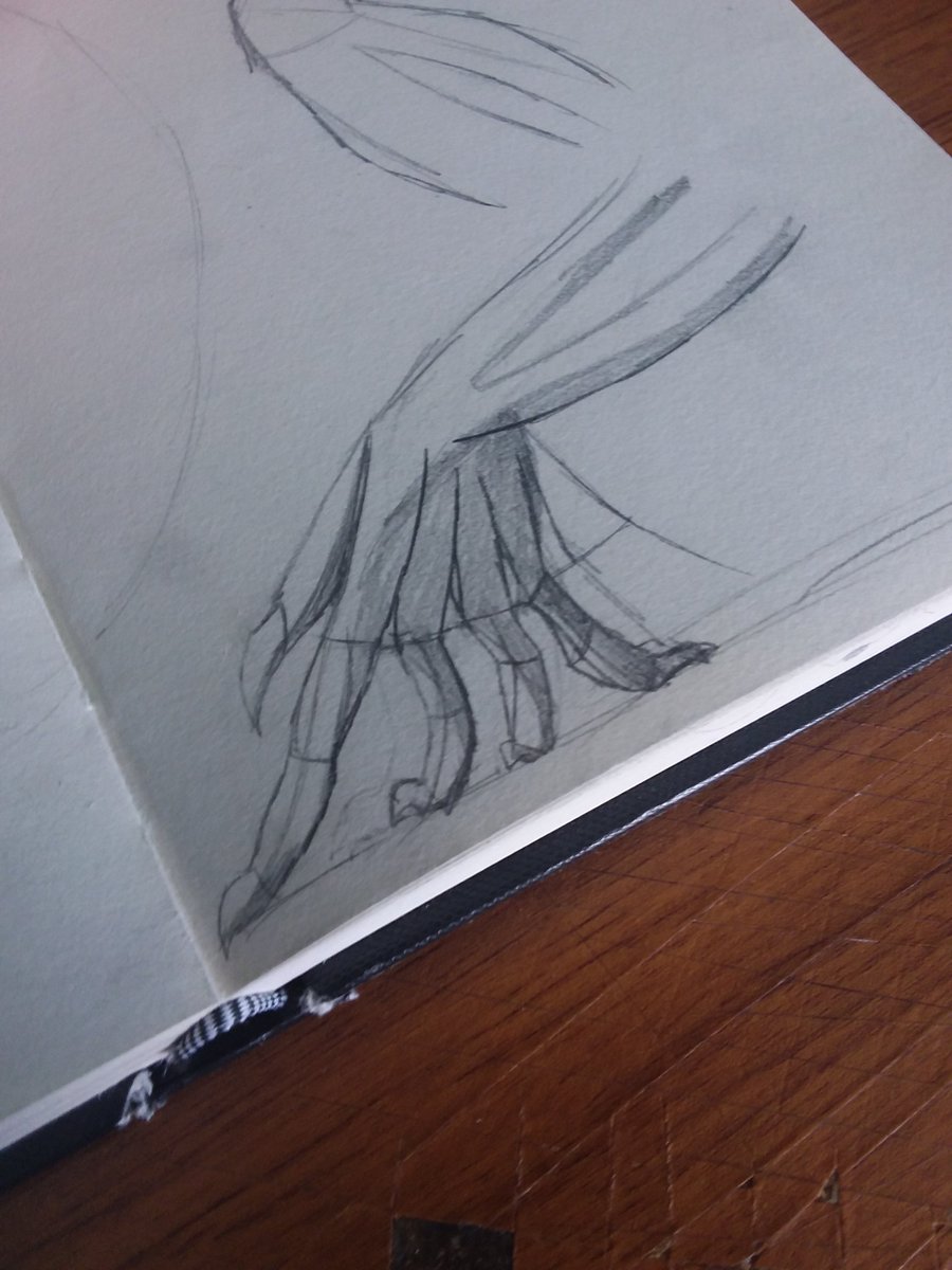 I HAVE DRAWN A GOOD HAND I HAVE THE POWER OF GOD ON MY SIDE NOW