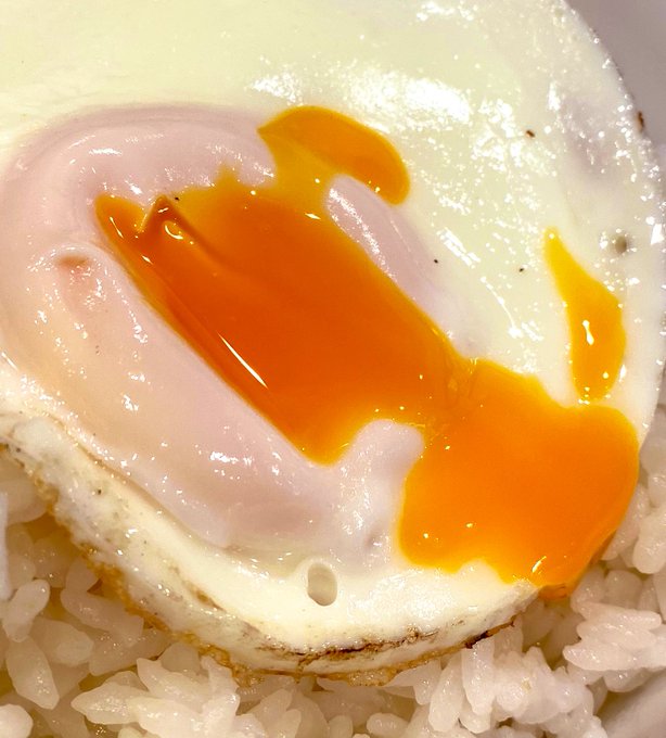 目玉焼きご飯良き 