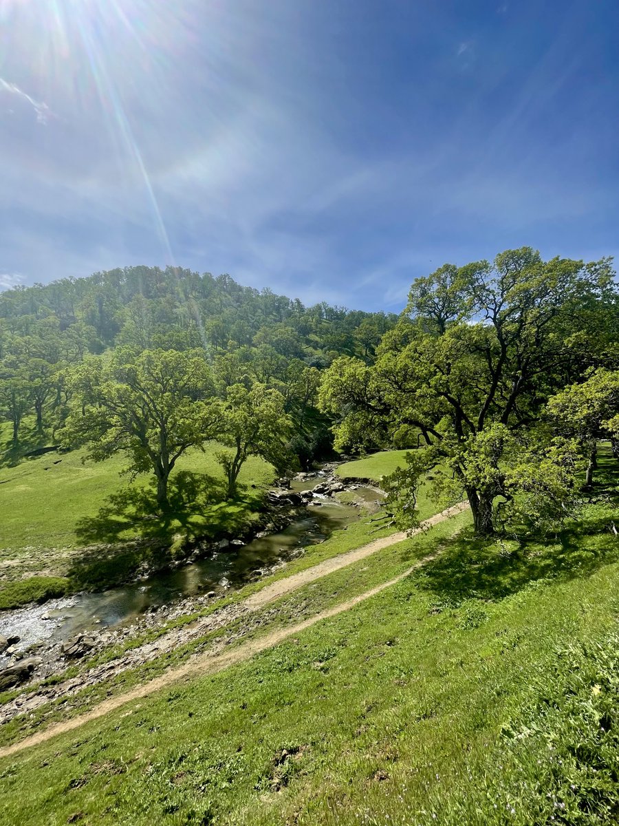 James Medlock on Twitter "Round Valley Regional Preserve is incredible