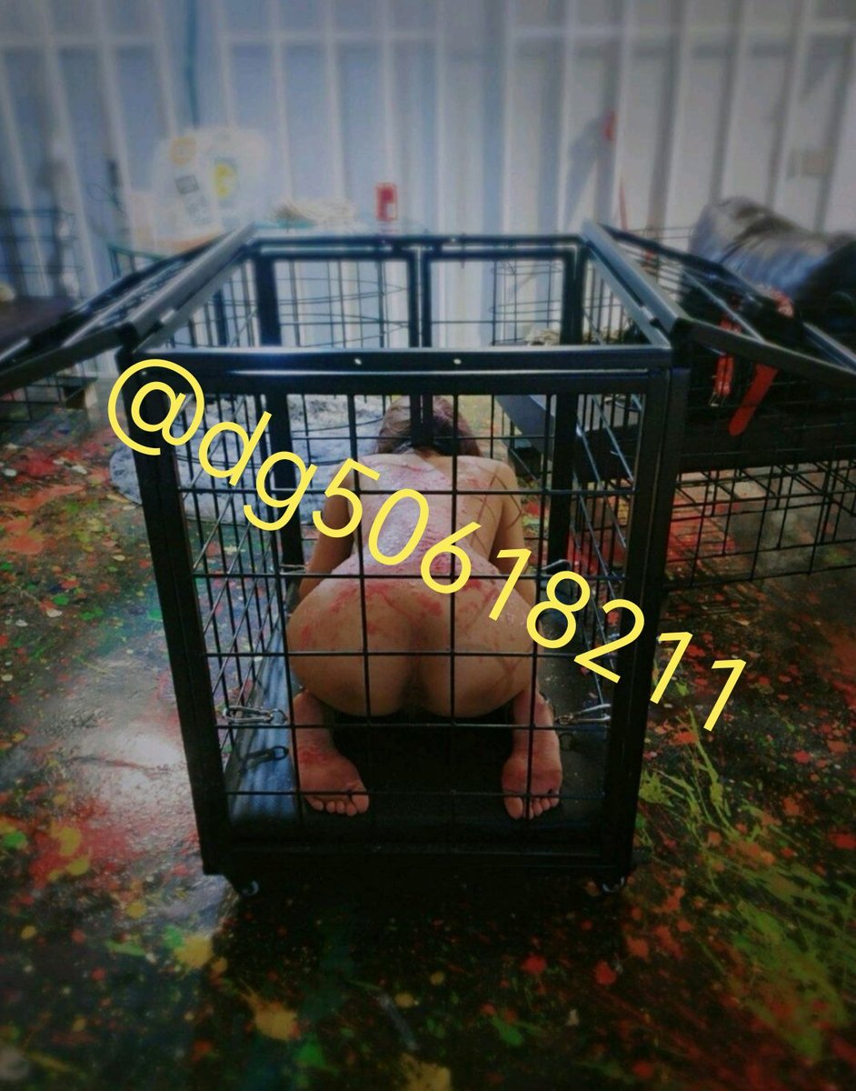 dg50618211's tweet photo. 合肥调教
#母狗母畜 
#贱货母狗 https://t.co/MRmaUire4u