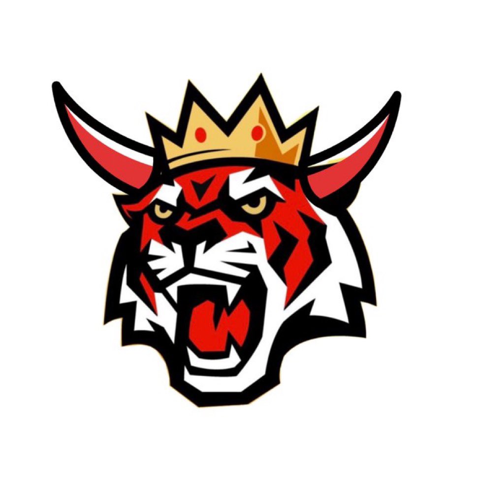 TKING Tiger King Coin Official (@Tiger_King_Coin) / Posts / X