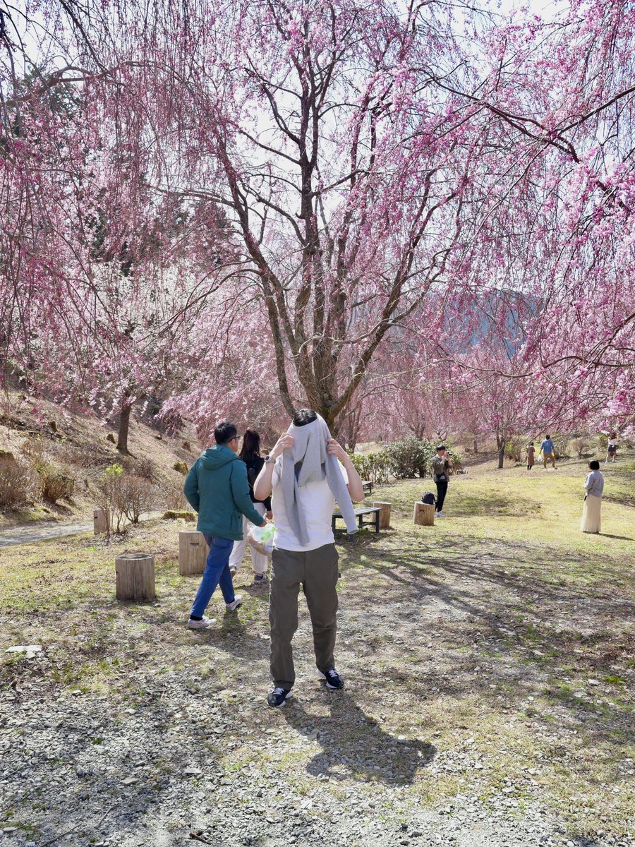 はっちょ (@hacchanno) on Twitter photo 