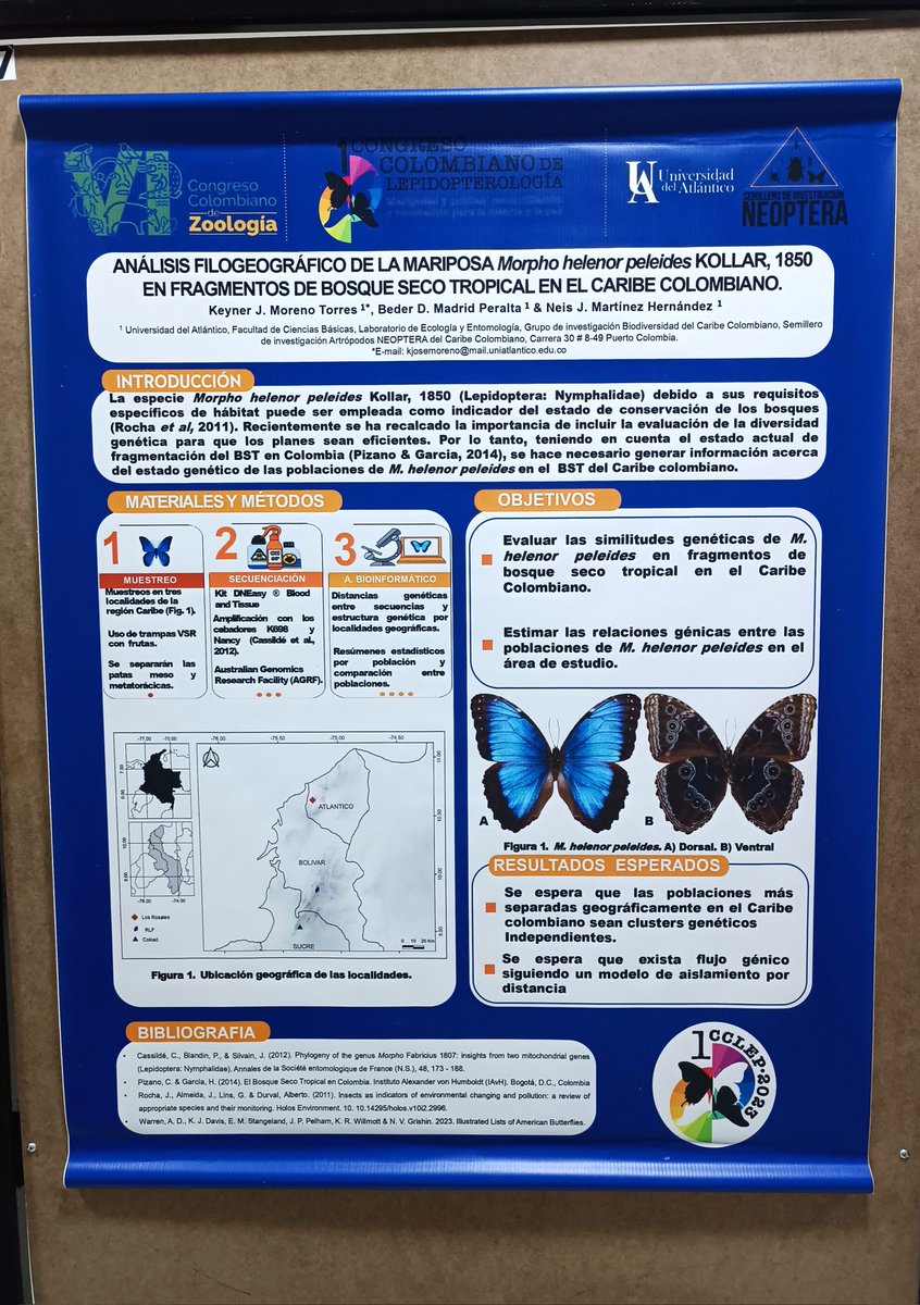 bederdmp's tweet photo. Un placer participar en el #1CCLEP #VICCZ @IndianaCristo
Una experiencia muy enriquecedora https://t.co/UtKb7BnrT8