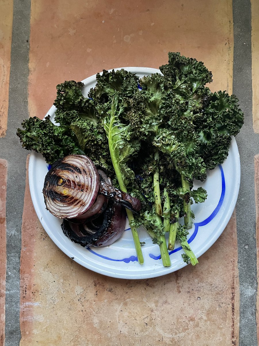 blogappetit's tweet photo. I may never prepare #kale any other way! #Grilled whole and then roughly chopped with grilled #redonions, raw #garlic, #sumac #oliveoil and #salt and #pepper. A little chopped #preservedlemon would have been nice, but I was #camping. #campinglife #vegetables https://t.co/gqSageEl3Q