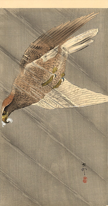 ohara_koson's tweet photo. Eagle in descent, 1905 #shinhanga #oharakoson https://t.co/VIGw2241T3 https://t.co/nWiUVoq13O