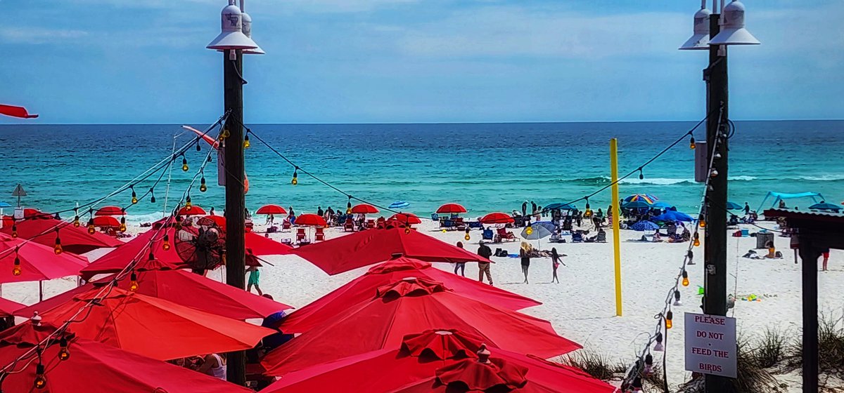 salina_mills's tweet image. What a view at this restaurant in Pensacola Beach! Do you have a great view at a restaurant? #sharewithme #twitterfriends #pensacolabeach #Beach #photooftheday #PHOTOS