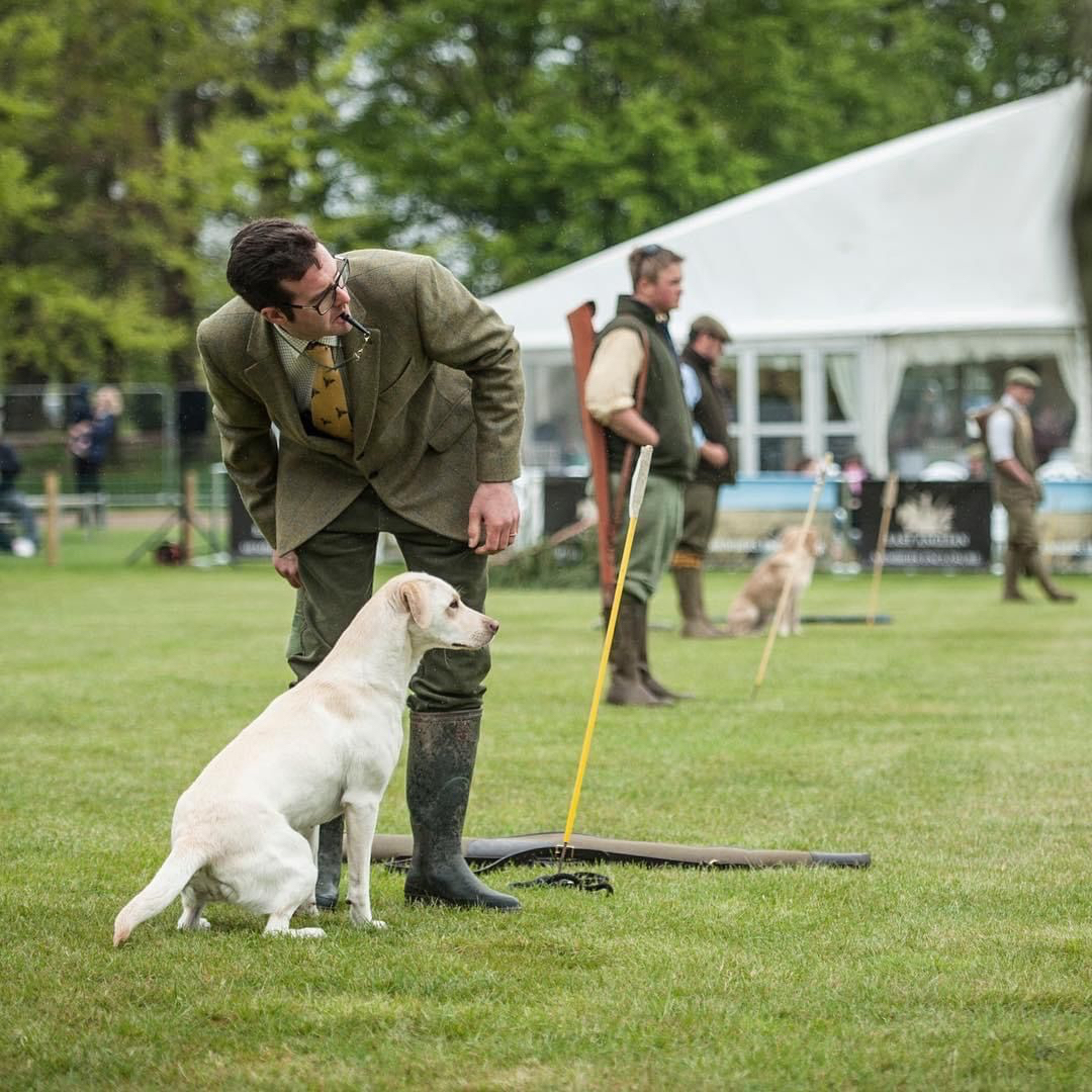 All work and no play makes any dog dull. 

Don’t miss The Mid Norfolk Gundog Team in the Main Arena each day demonstrating the different roles of a gundog on a shoot day, from flushing birds, sitting on a peg with a gun, to picking up at the end, with a unique opportunity to phot