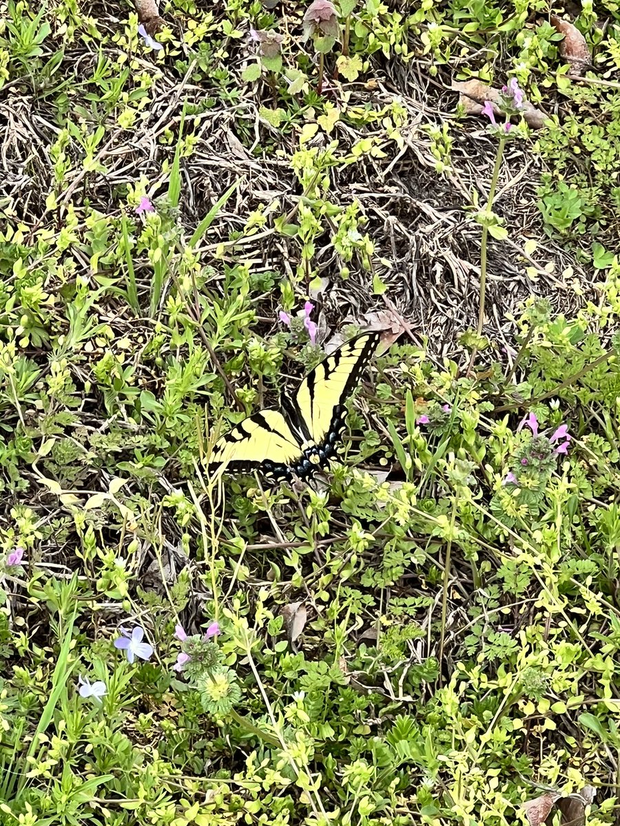 Love this time of year