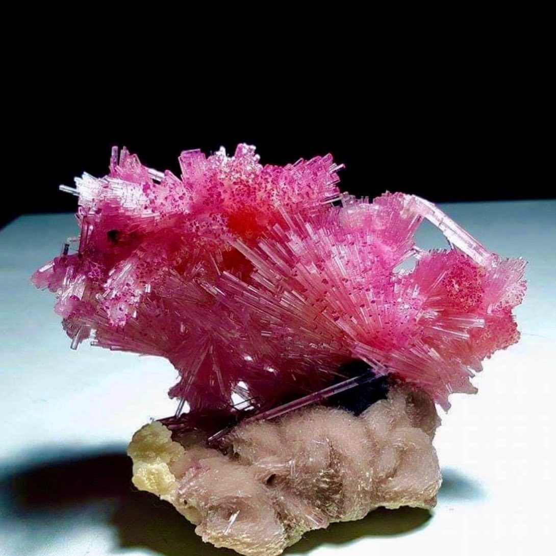 Pink Tourmaline crystals Cluster with Feldspar

Photo: FarooqKhan8122/IG