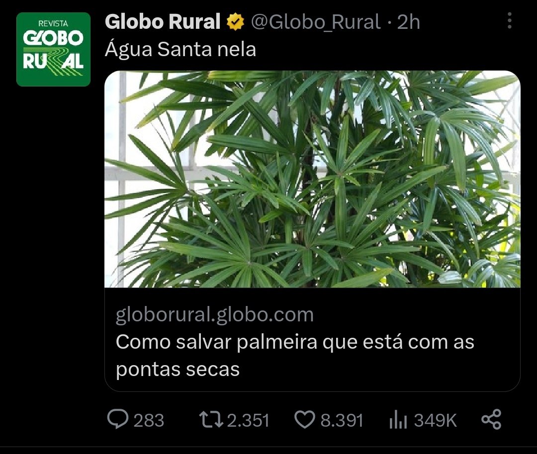 Globo Rural (@Globo_Rural) / X