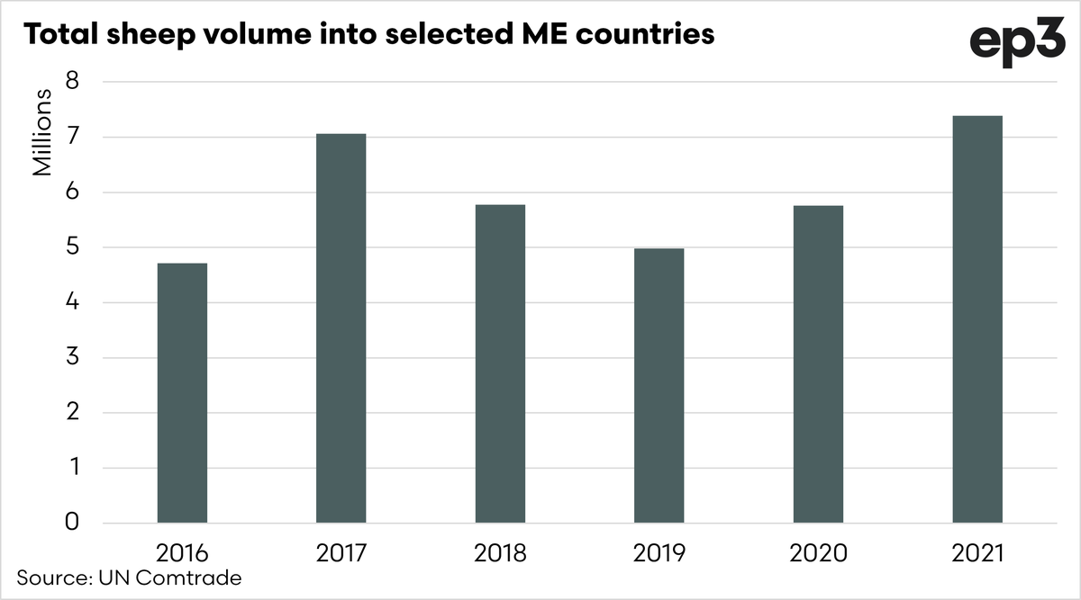 Sheep Live Export – A dying industry?

Yes and no is the answer. Read more on the link below. Free to access. 

Support by retweet. 

episode3.net/livestock/shee…