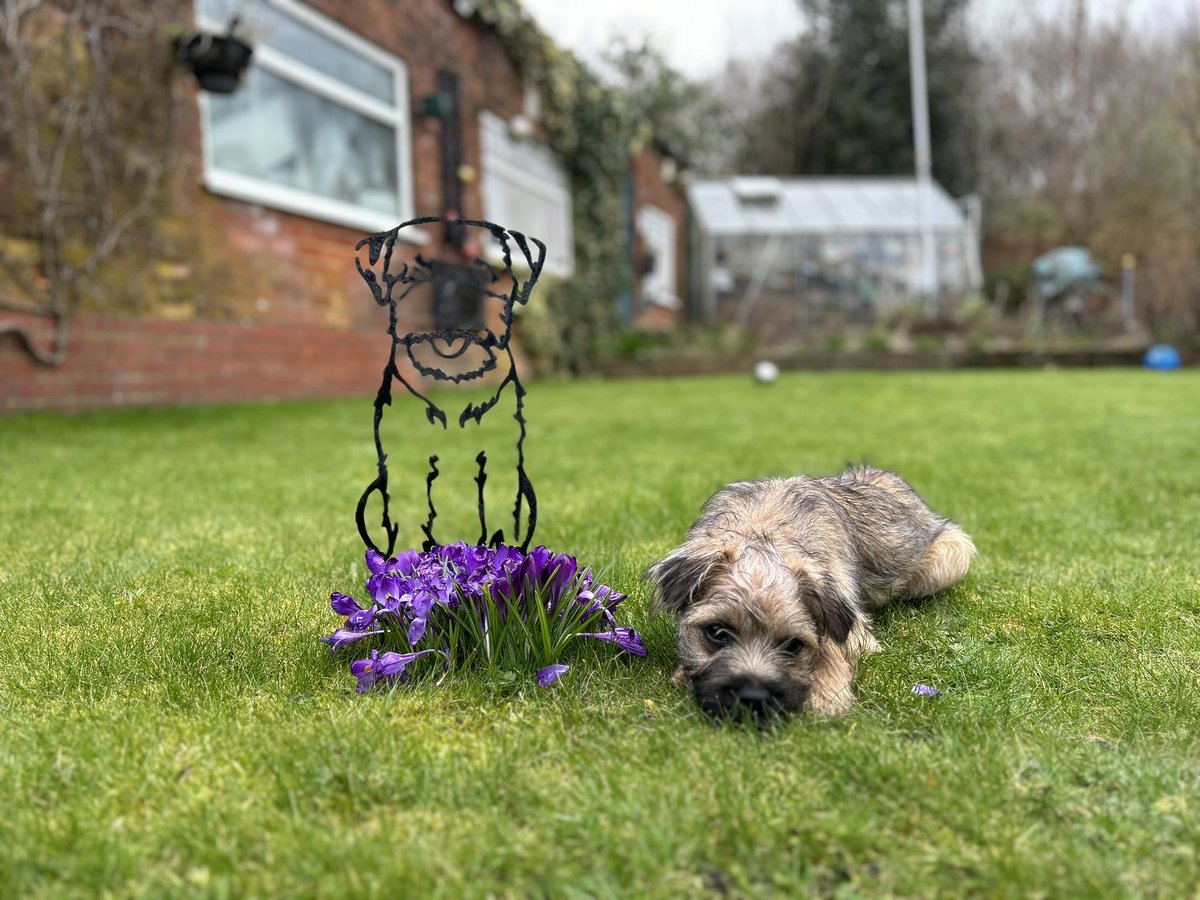 Grandma’s Garden 🪴 🐾