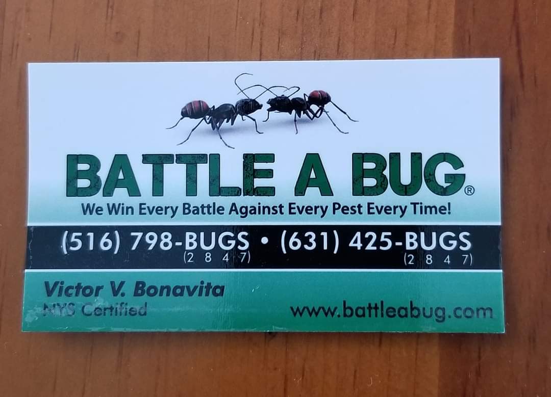 JFKSportBooster's tweet photo. Sponsor Spotlight
Got Bugs? Spring is coming! Why not  call one of of our Sponsors first!!
BATTLE A BUG (family owned)
516.798.BUGS
https://t.co/3Qe5ODoKB2
They support our @BellmoreJFK  
 studentathletes, so let's thank them!! GO COUGARS!!! https://t.co/0ROVmpIEco