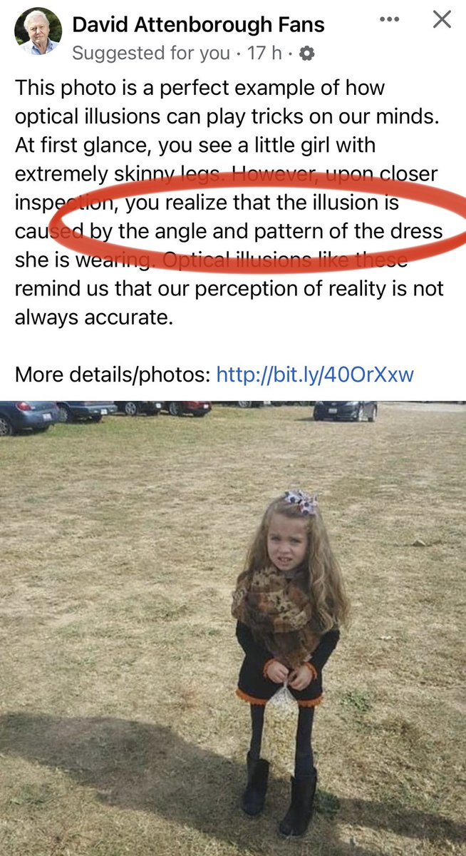 ‘Angle and pattern of the dress’

That is code for…

Bag of Popcorn🤔

Where is the pattern?
Where is the dress?
Where is the angle?