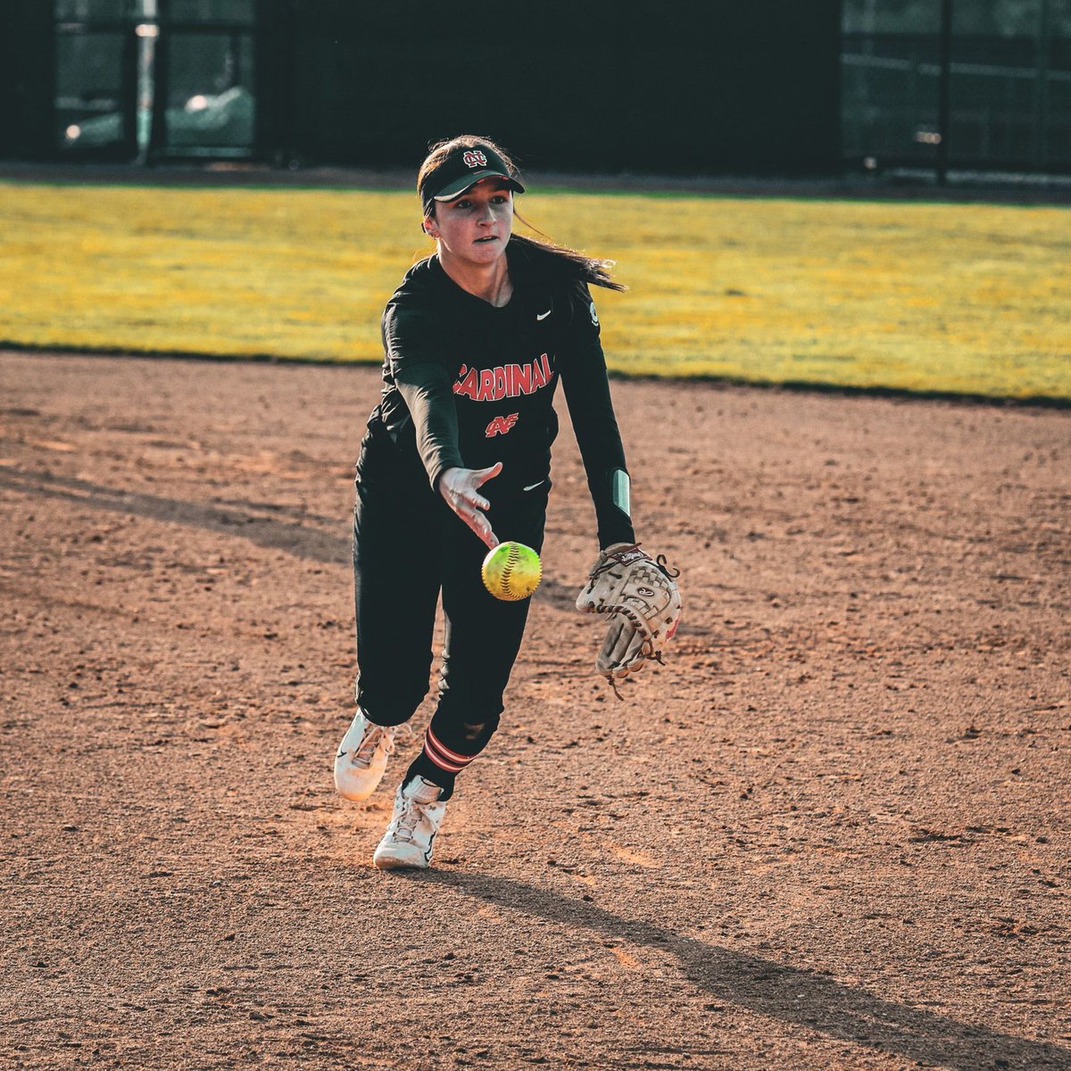 North Central College Softball 🥎