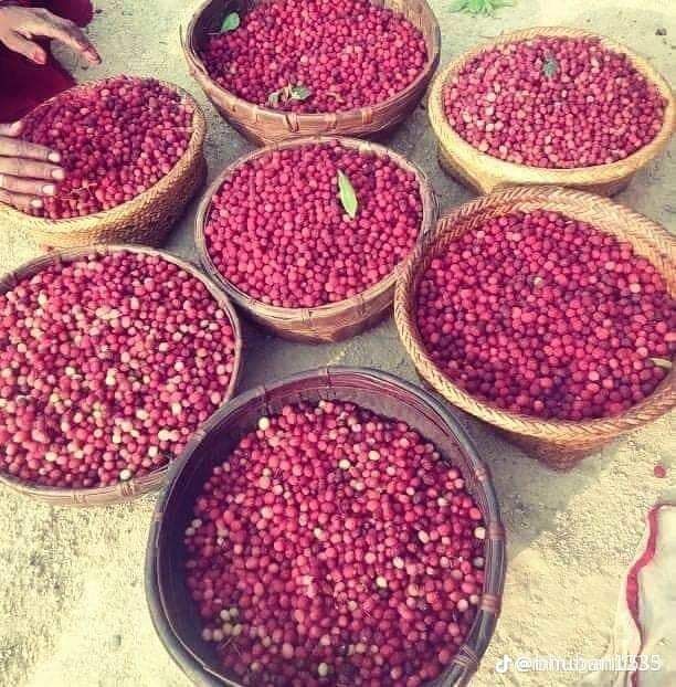 नेपालका बूद्दी जिबी नेताहरू देशको लागी केही गरेर मर नाम चल्छ