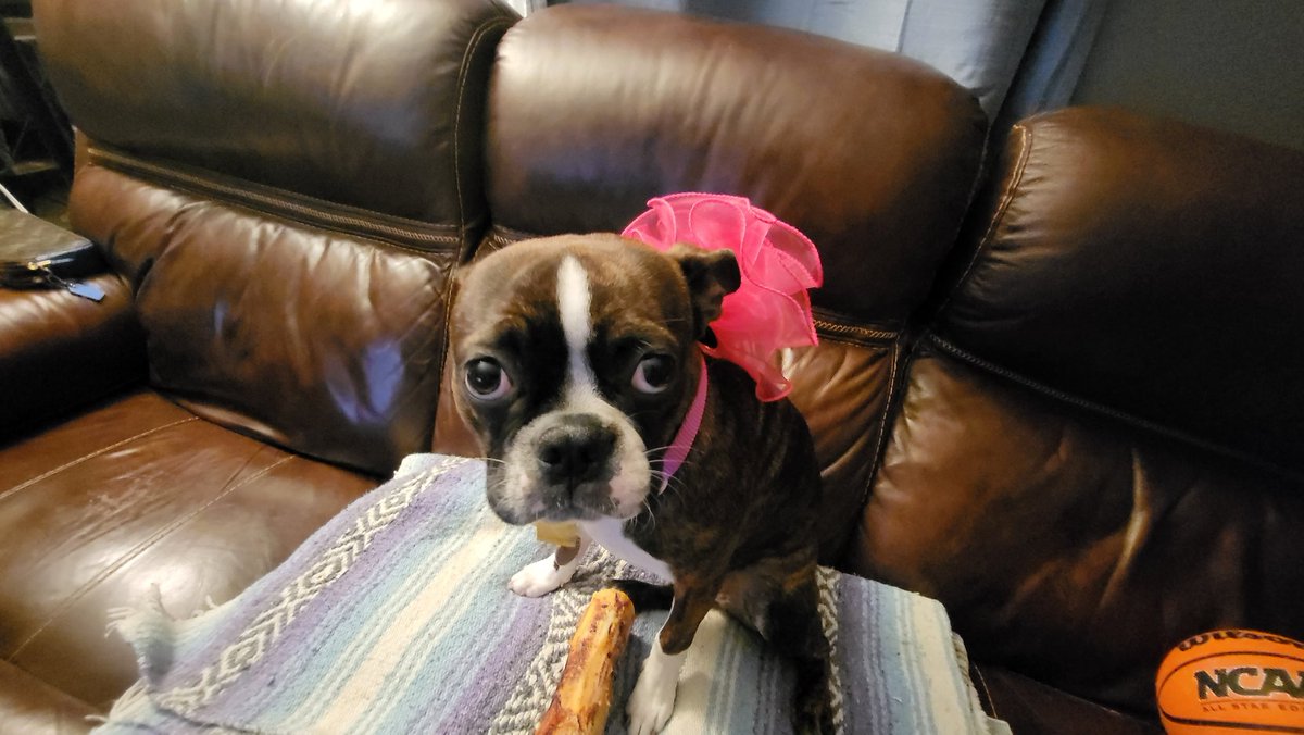 Cameron Gray tweet media