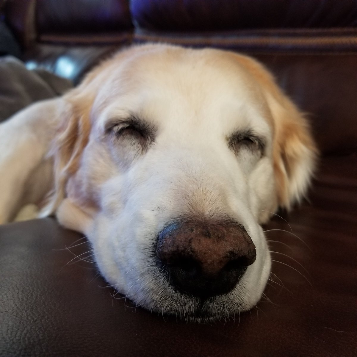 Cameron Gray tweet media