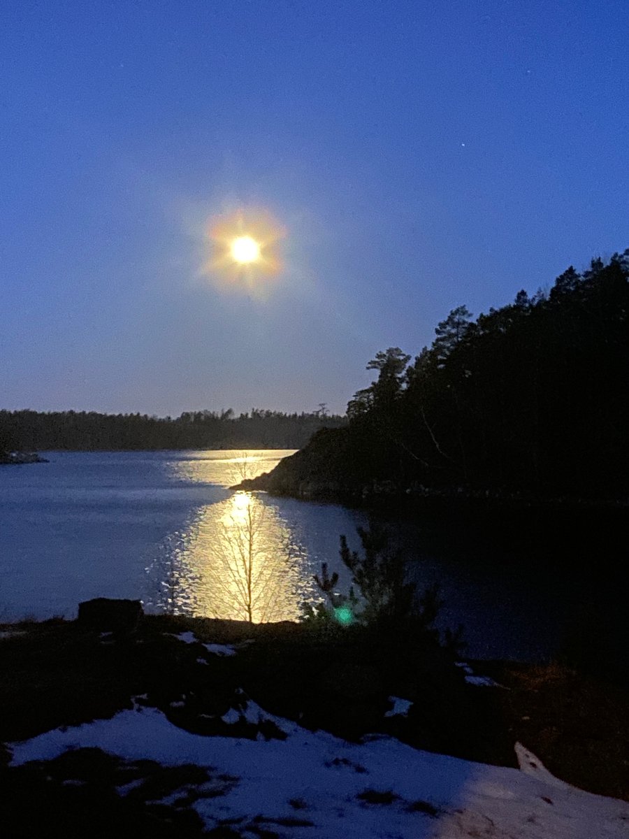 EFenvik's tweet photo. Kall och klar morgon med en fullmåne som glittrar i vågorna på fjärden. Snart går solen upp och börjar nöta ner den snö som fortfarande ligger fläckvis bland skrevorna. Översnöade påskliljor väntar tålmodigt på att få visa sina gula knoppar. https://t.co/1kH4DUeoNY