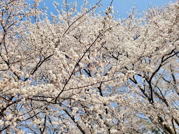 きれい～ 