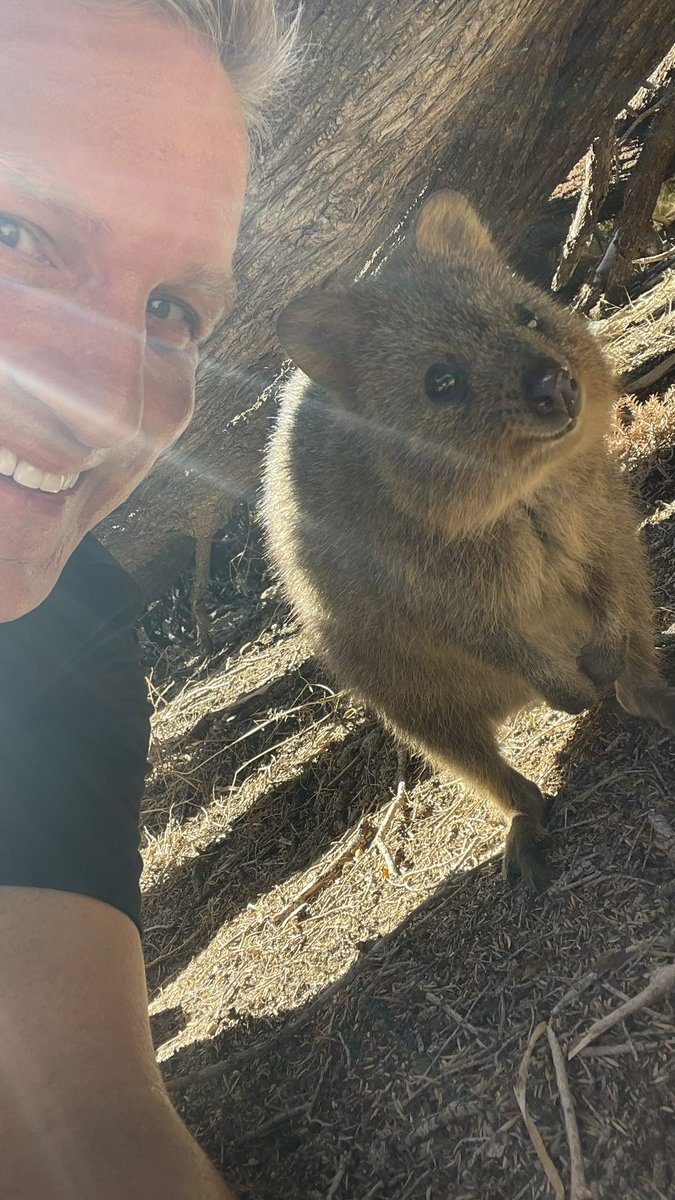 Got it!  Quokka Selfie Success. @rottnest #rottnestisland #australia #perth