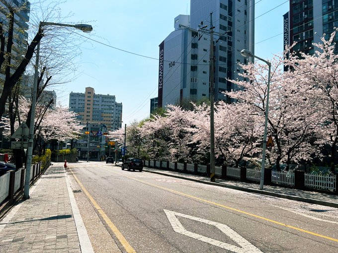 「横断歩道 GoogleMapの旅」のTwitter画像/イラスト(新着)