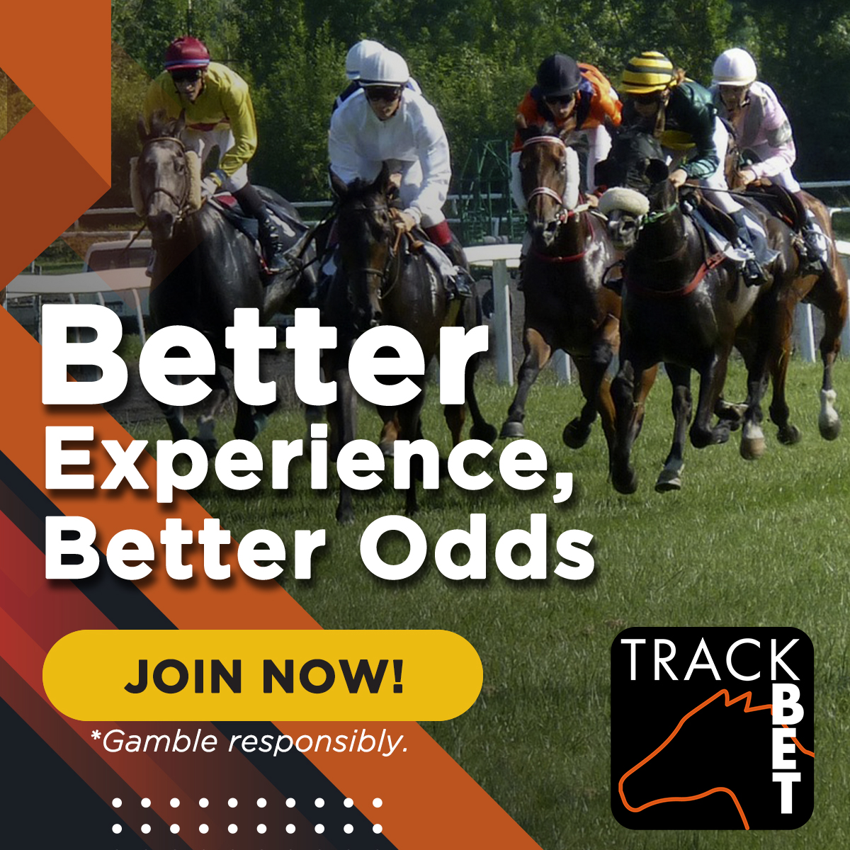 TrackBet - Australian Racing Bookmaker - trackbet.com.au - Tote Products Available - Great Promos For Eligible Clients #HorseRacing #horseracingtips #punt #bettingtips #bet #Harnessracing #Greyhounds #theraces #bookie #RosehillGardens #betlocal📷📷 #racingnsw #tipster