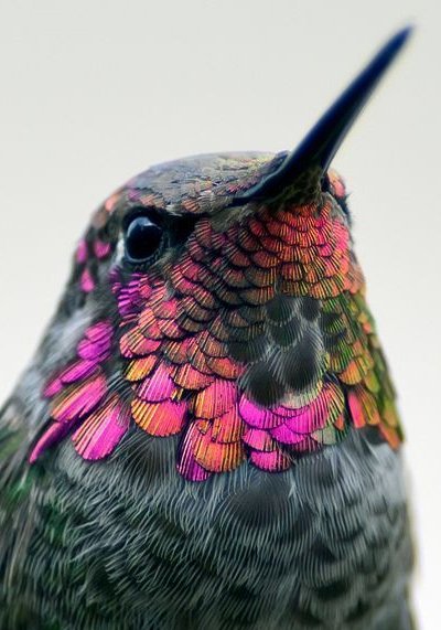 Jagoda (@jagodanik) on Twitter photo 